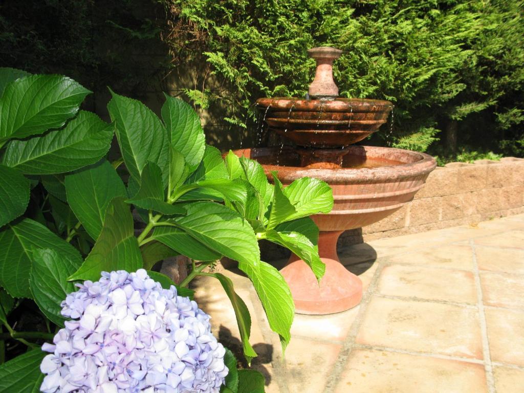 סטלנבוש Casablanca Bed And Breakfast מראה חיצוני תמונה