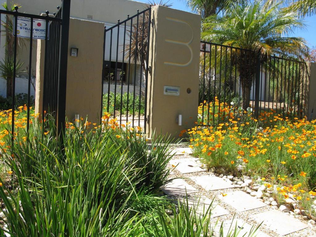 סטלנבוש Casablanca Bed And Breakfast מראה חיצוני תמונה