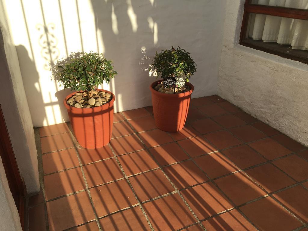 סטלנבוש Casablanca Bed And Breakfast מראה חיצוני תמונה